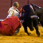 Toros San Miguel