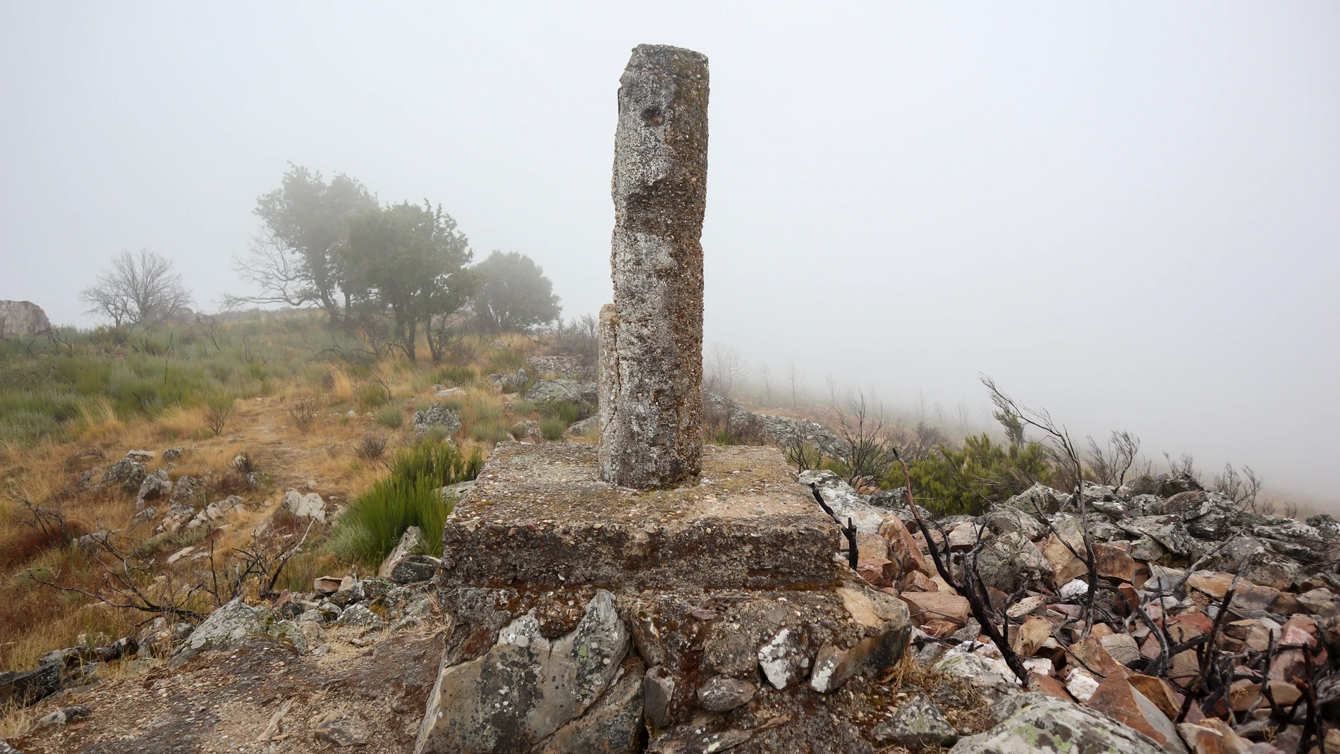 VILLARDECIERVOS (ZAMORA), 29/09/2024.- Vista de la zona del yacimiento de la Edad de Hierro 'El Castro' de Villardeciervos, en la sierra de la Culebra (Zamora), en el que han aparecido unas cazoletas talladas en un bloque de cuarcita. Este elemento de arte rupestre de hace más de dos mil años antes de Cristo ha aflorado a raíz de los incendios del verano de 2022. EFE/ Mariam A. Montesinos
