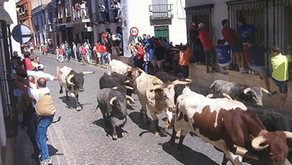 Encierros de Almodóvar del Campo (Ciudad Real)