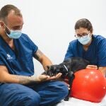 El centro celebra sus tres siglos de historia con grandes profesionales veterinarios