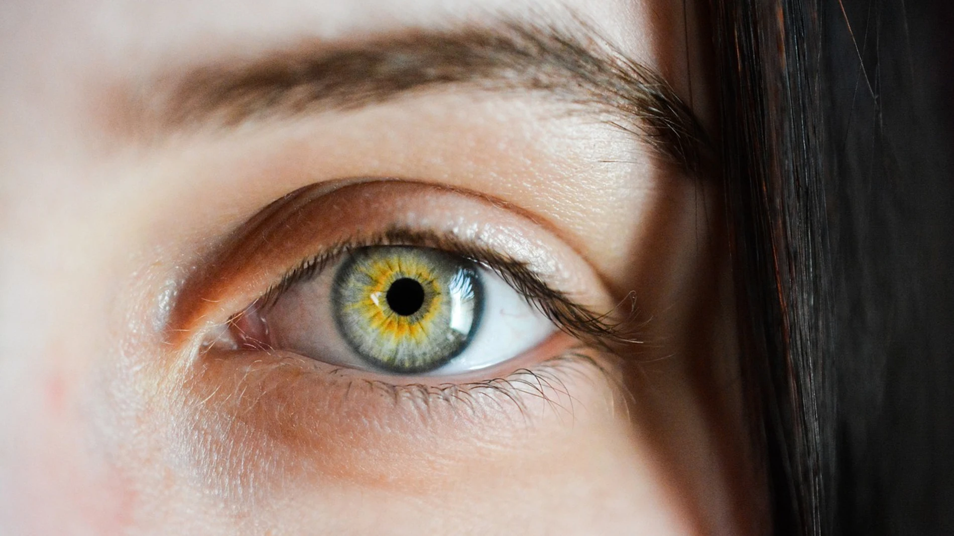 Punto ciego del ojo