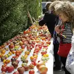Feria del Tomate del pasado año en Piñel de Abajo (Valladolid)