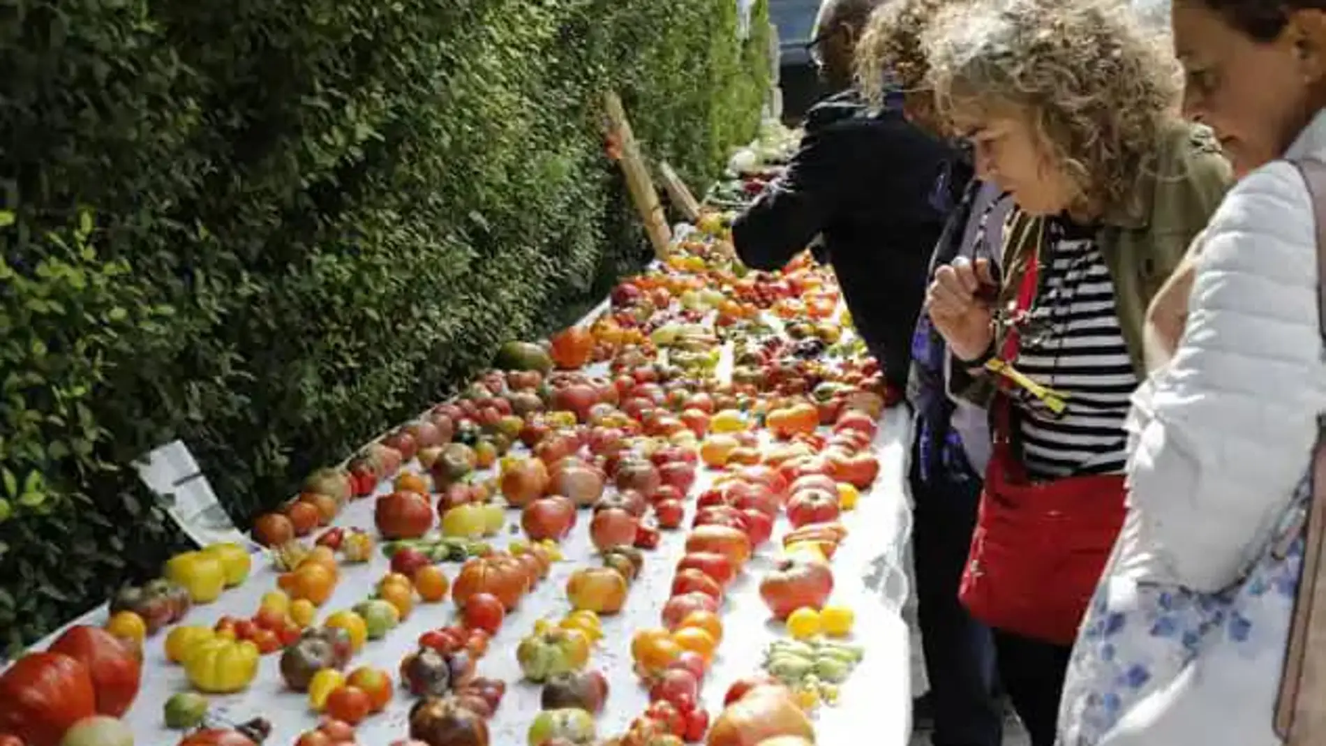 Feria del Tomate del pasado año en Piñel de Abajo (Valladolid)