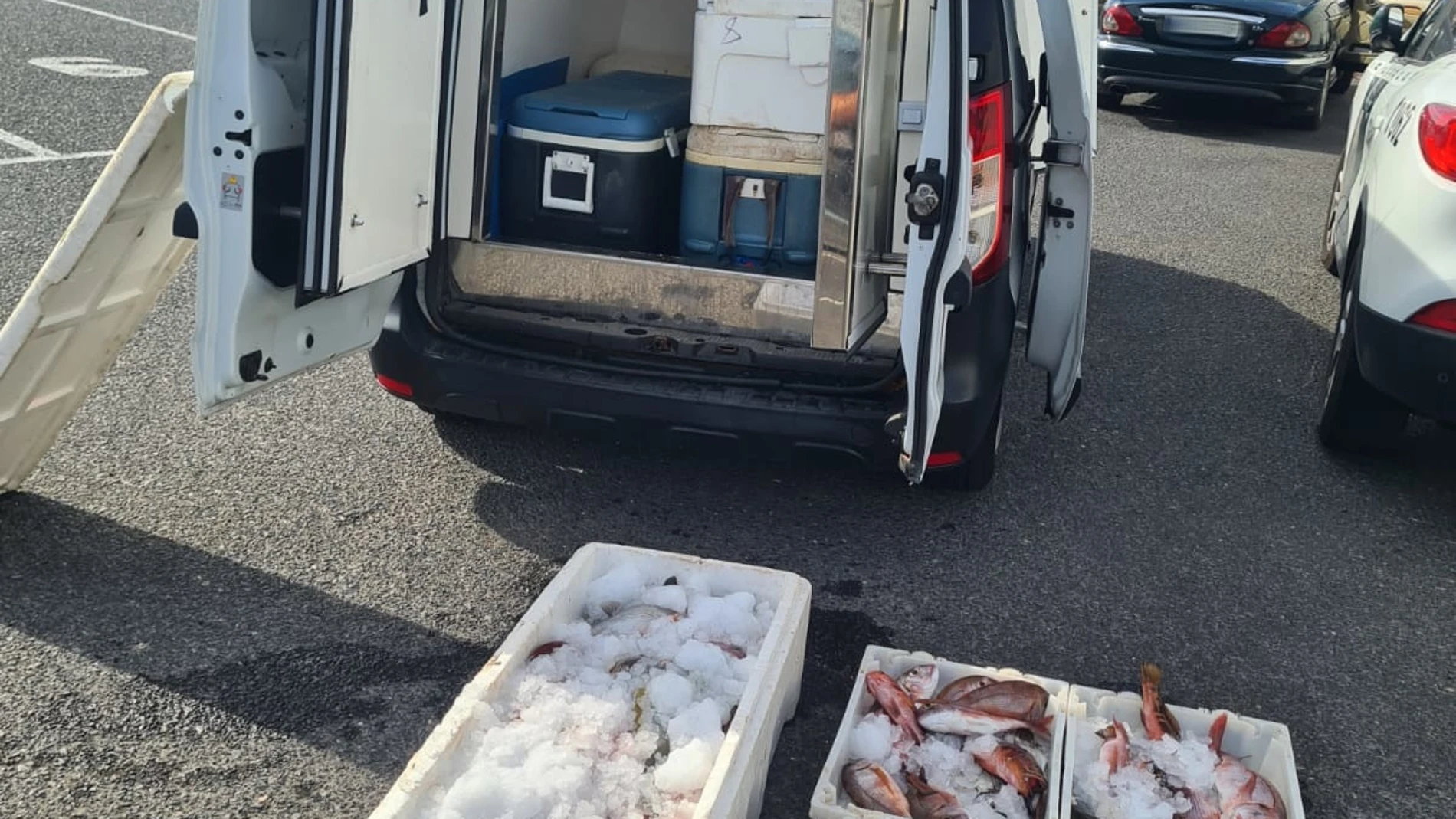 Coche con el pescado incautado por la Guardia Civil en Fuerteventura REMITIDA / HANDOUT por Guardia Civil Fotografía remitida a medios de comunicación exclusivamente para ilustrar la noticia a la que hace referencia la imagen, y citando la procedencia de la imagen en la firma 01/10/2024