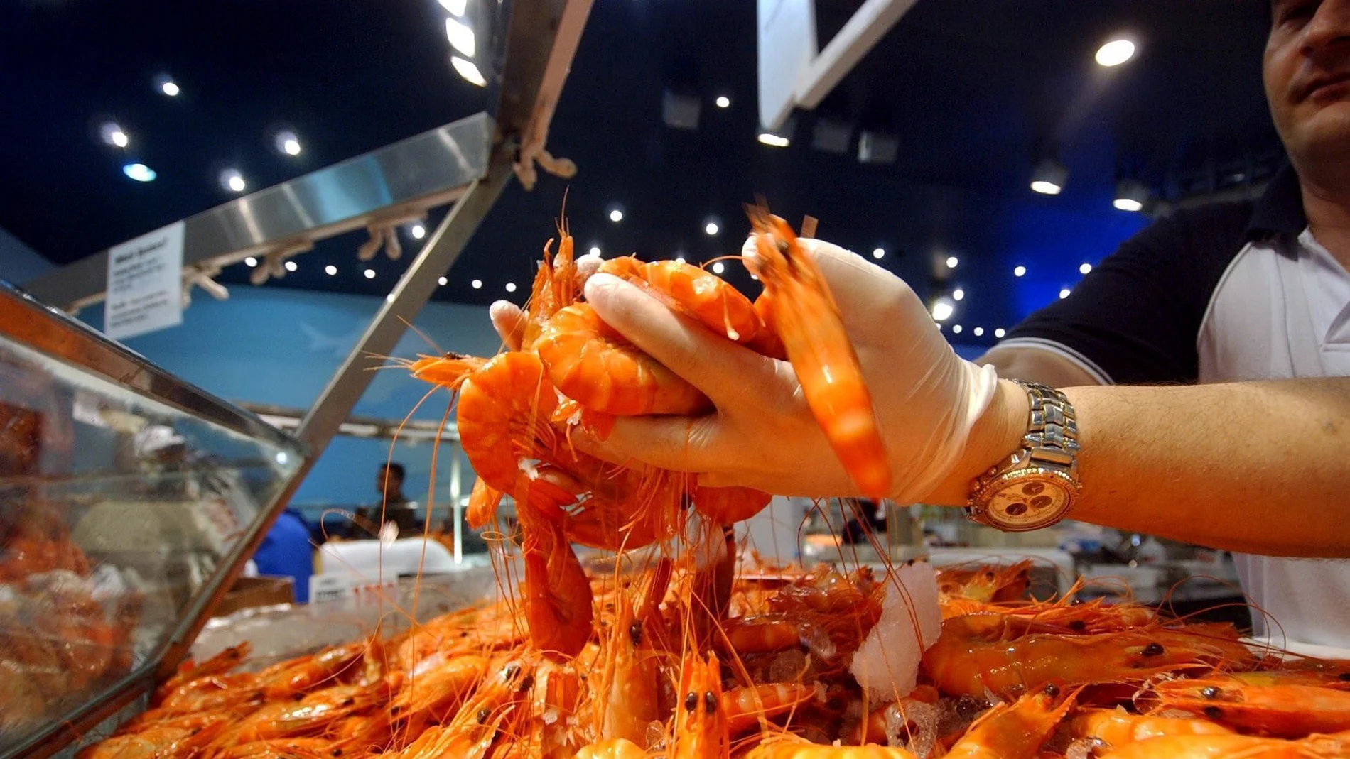 epa000334334 Prawns being stocked for the christmas rush at the Sydney Fish Markets Thursday 23 December 2004. Fishmongers at Sydney's famous market opened at 5am (AEDT) Thursday for a 36-hour pre-Christmas trading marathon. EFE/epa/MICK TSIKAS AUSTRALIA AND NEW ZEALAND OUT