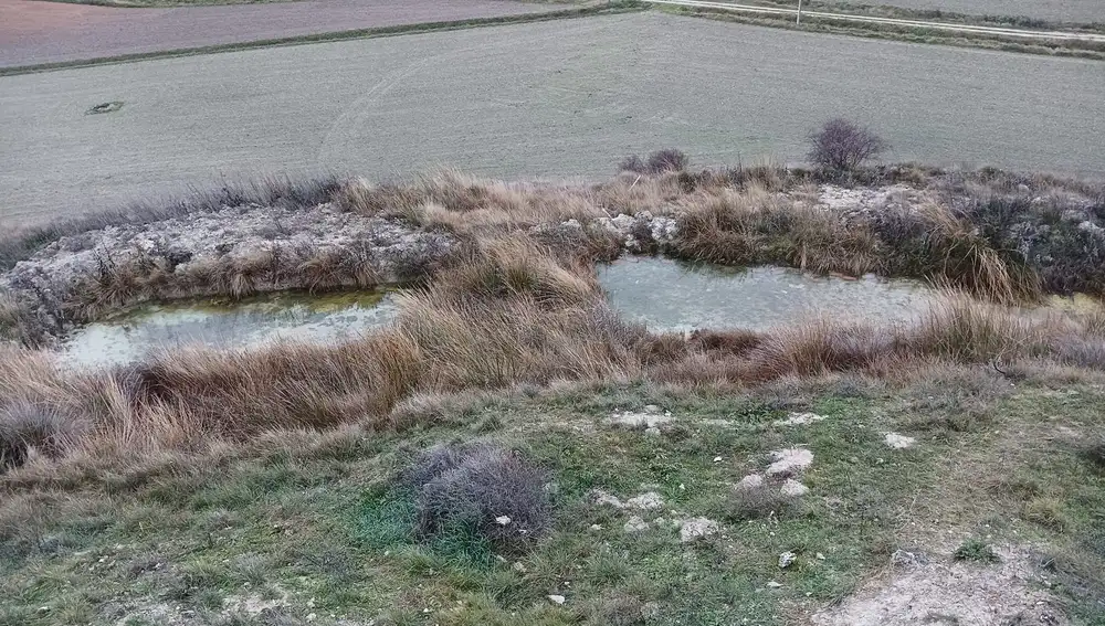 Balsas creadas por la Asociación para almacenar agua