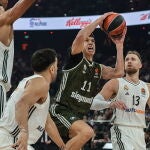 Tavares, Campazzo y Musa tratan de detener a Lucic