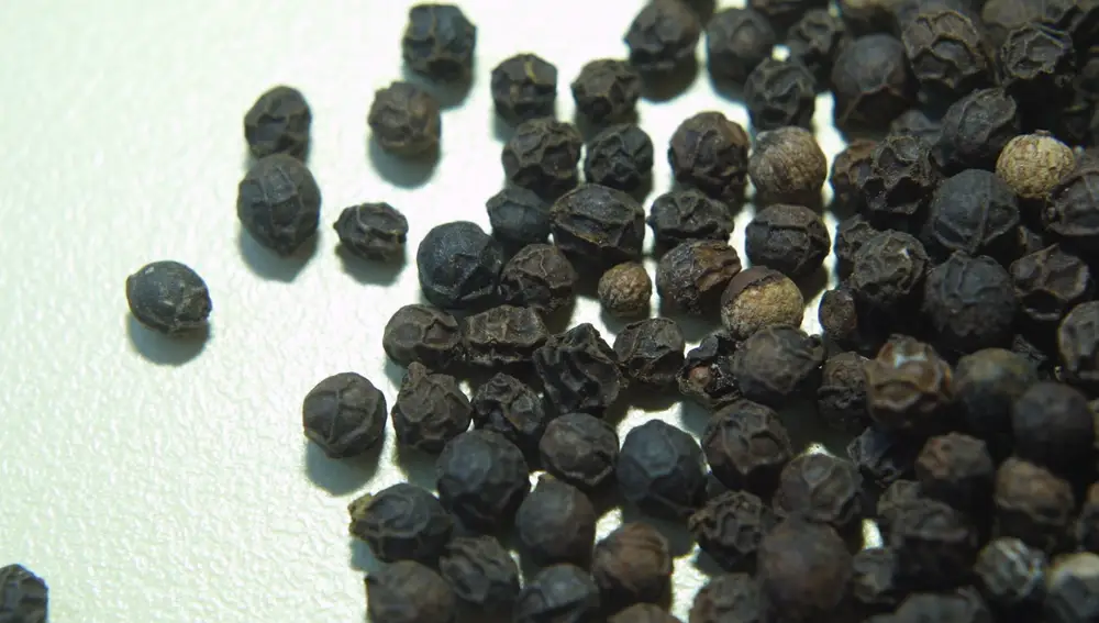 Pimienta negra