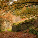El destino rural que no te puedes perder en otoño en Asturias: Los Oscos