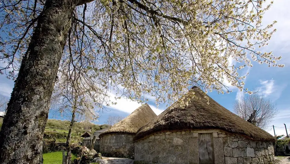 Pallozas de la aldea.