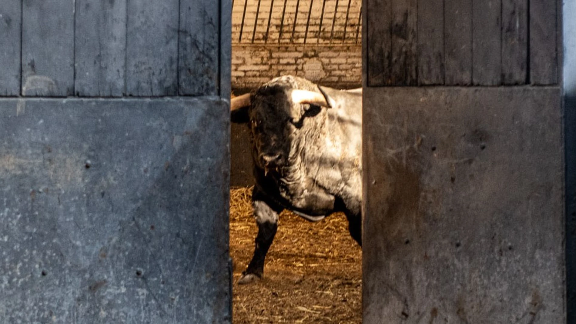¿Quiénes se enfrentarán hoy a los toros en Las Ventas?