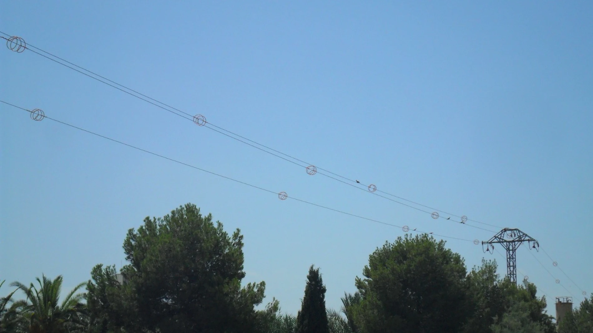 Corrección de apoyos y medidas anticolisión en redes eléctricas en Lagunas de Alhama de Murcia.