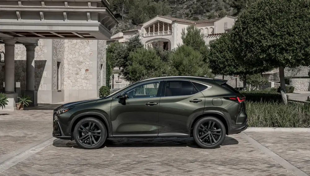 NX