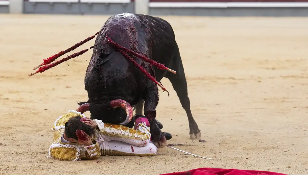 El diestro Víctor Hernández sufre un percance con su primer toro durante el festejo taurino de la Feria de Octubre que se celebra este domingo en la Monumental de Las Ventas, en Madrid.