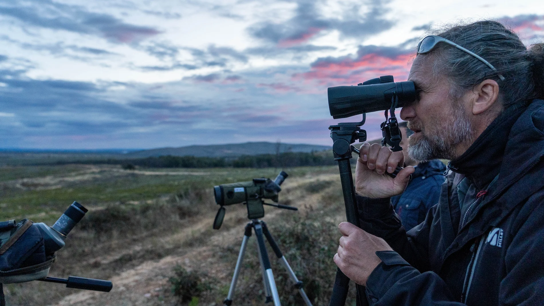 Observación del sonido de la berrea en Zamora
