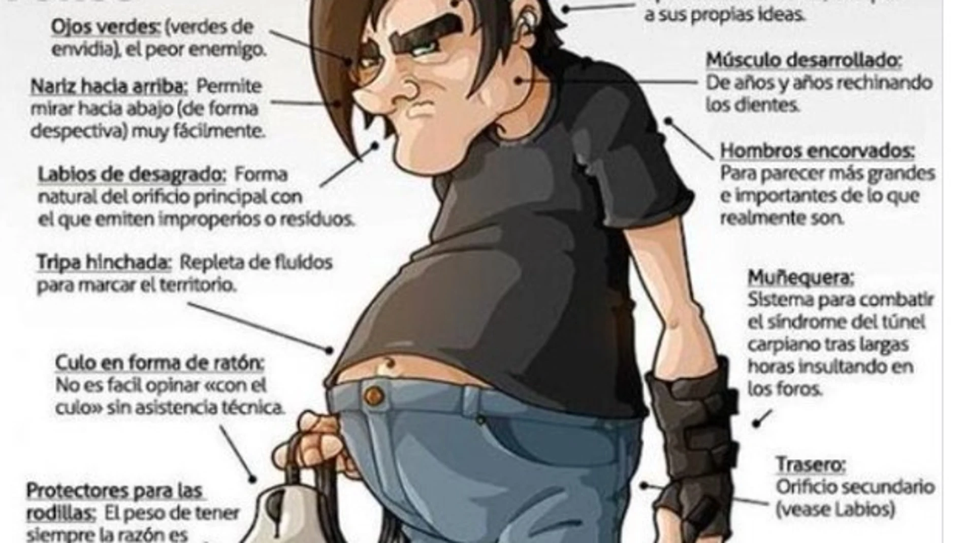 La Guardia Civil realiza una descripción didáctica del "troll de los foros"
