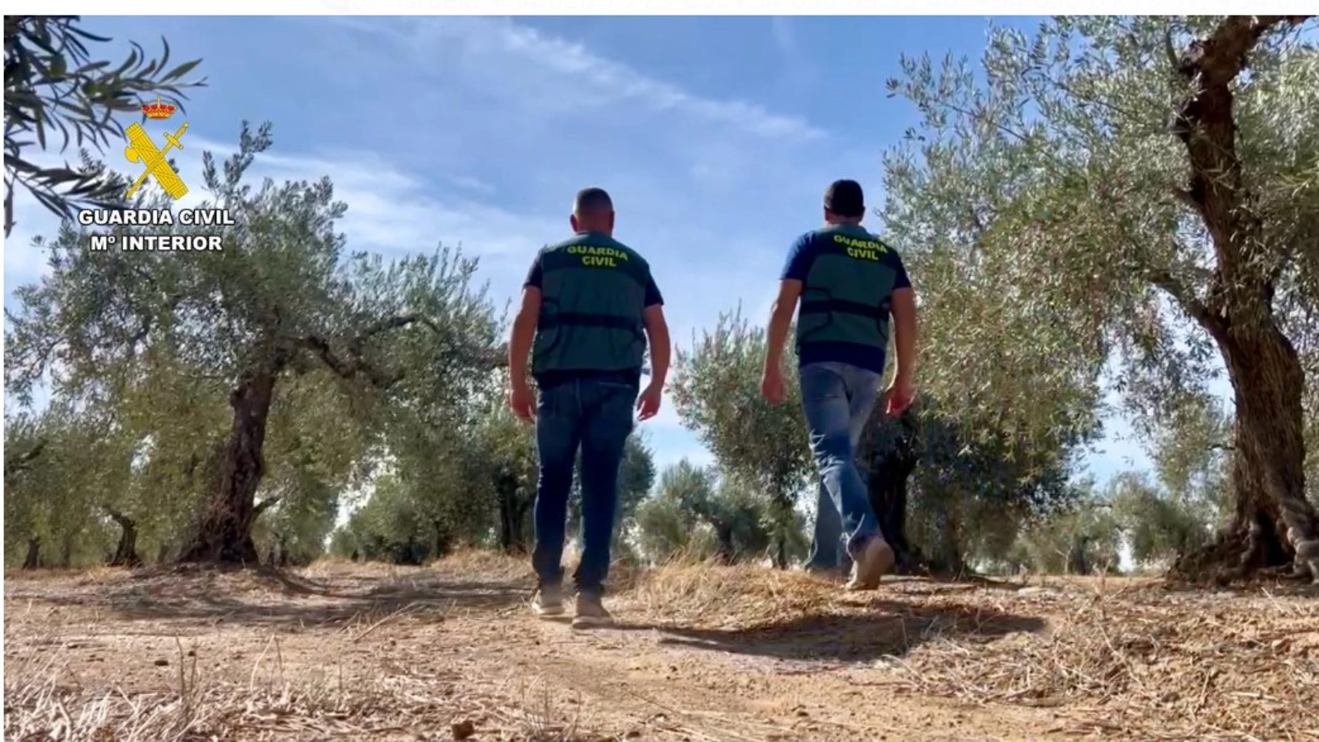 Dos agentes patrullan en un olivar