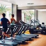 Sala de un gimnasio 