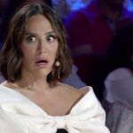 Un misterioso hermano de Tamara Falcó sorprende en "Got Talent"