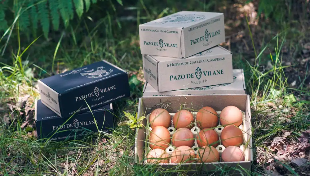 “Nuestros clientes eligen Pazo de Vilane porque les recuerda a sus días de niñez, de vacaciones en familia, en los pueblos, con esos huevos fritos inolvidables del corral de la abuela...”
