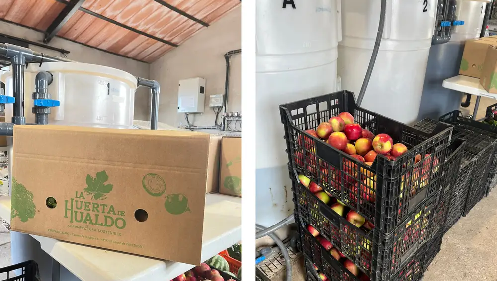 Preparación de pedidos en 'La Huerta de Hualdo'