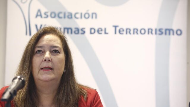 Araluce (AVT) critica a PP y Vox por votar la ley que beneficia a presos de ETA y al Gobierno por urdir una artimaña