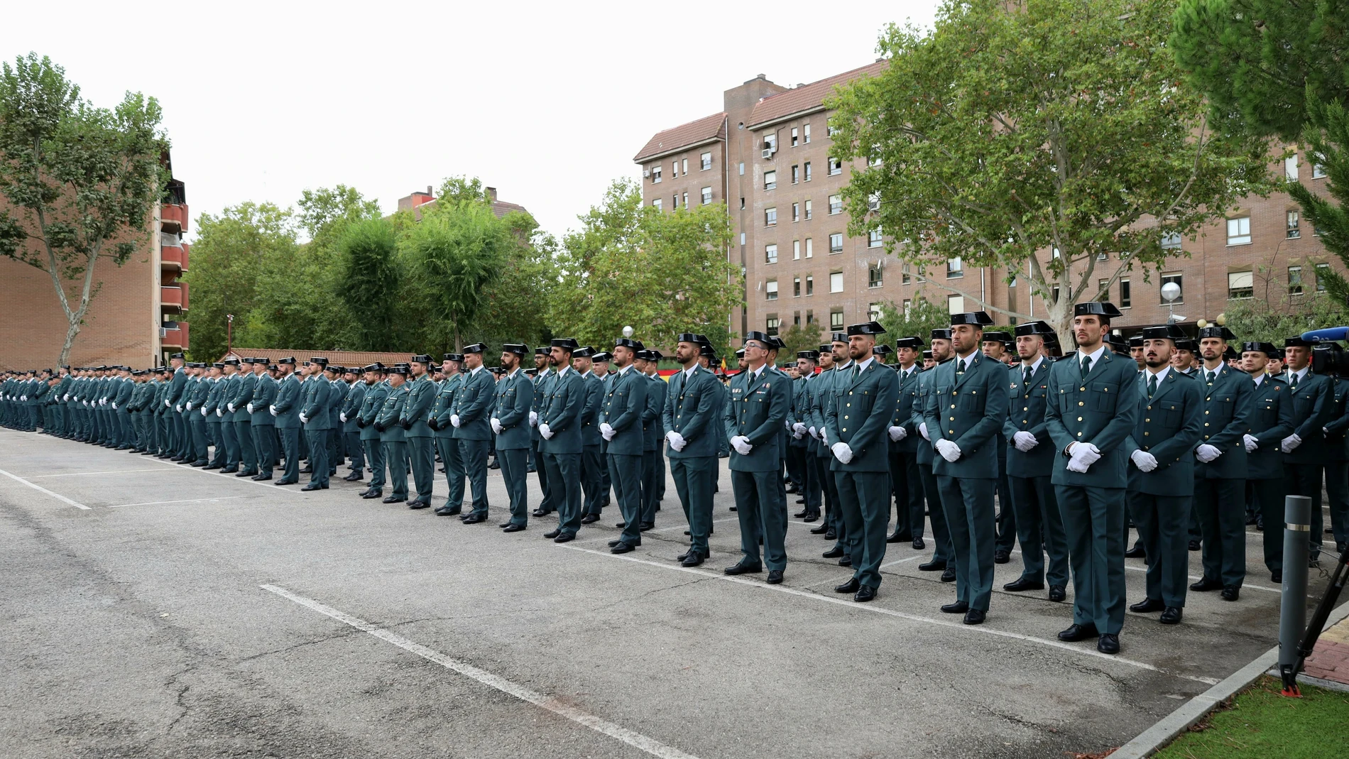 532 guardias civiles en prácticas se incorporan hoy a la región, el 32% mujeres REMITIDA / HANDOUT por DELEGACIÓN DEL GOBIERNO Fotografía remitida a medios de comunicación exclusivamente para ilustrar la noticia a la que hace referencia la imagen, y citando la procedencia de la imagen en la firma 08/10/2024