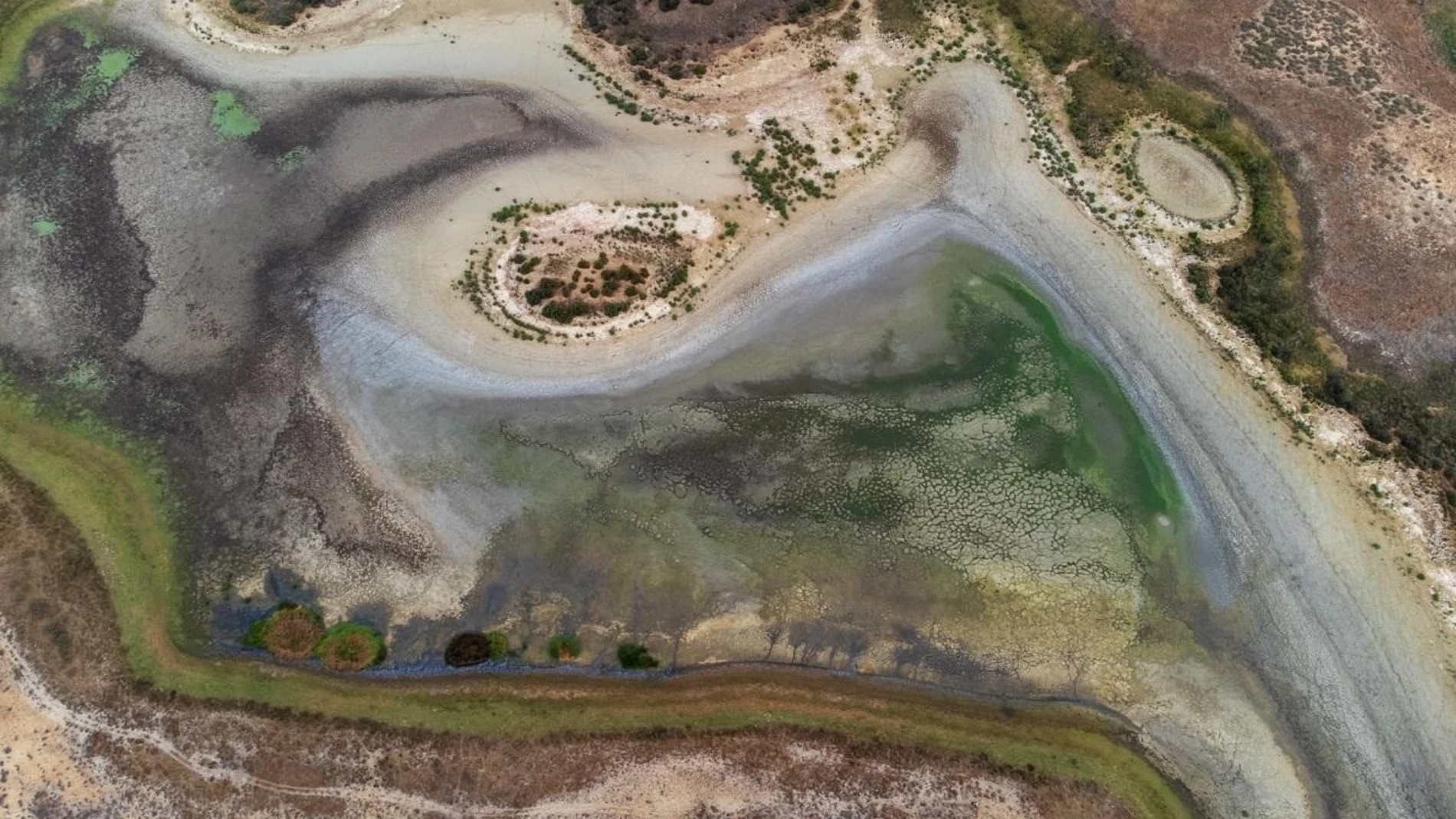 Aspecto que presenta la laguna de Santa Olalla de Doñana