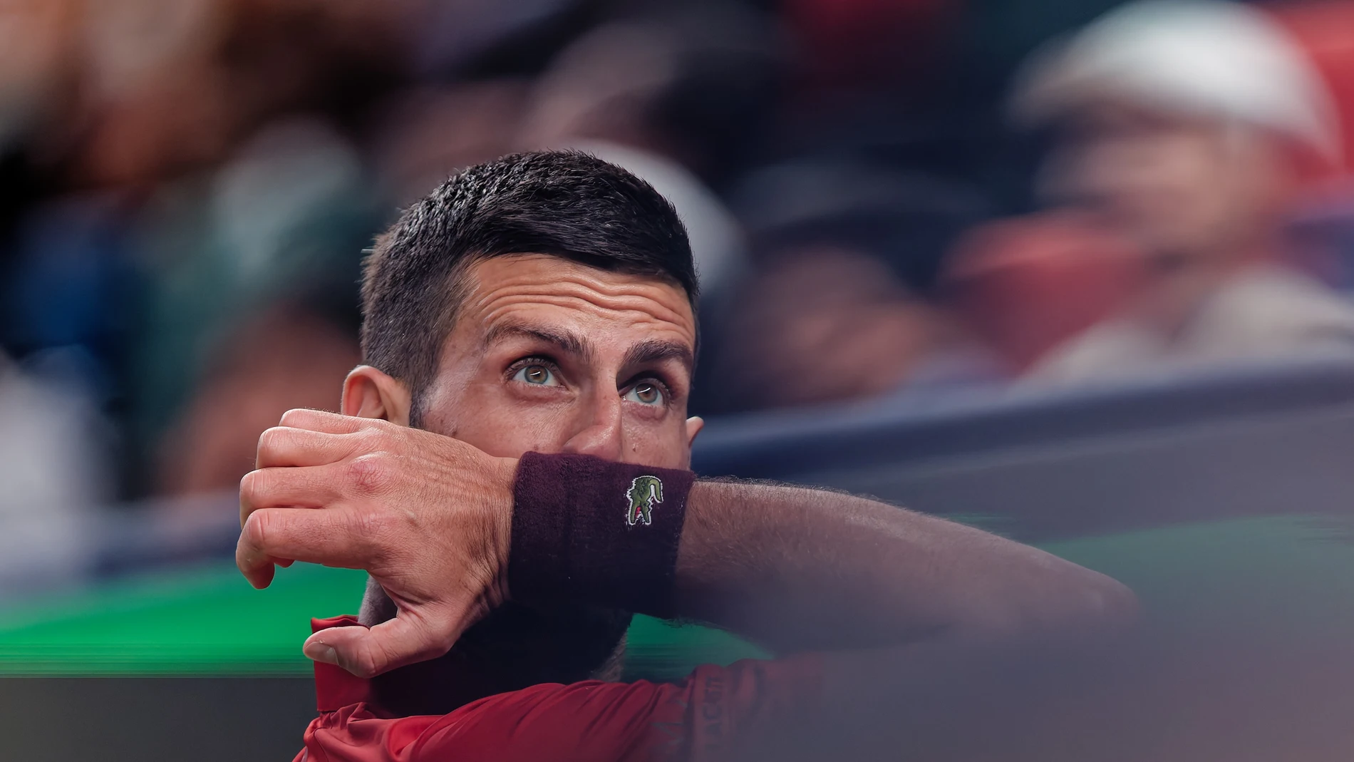 Shanghai (China), 09/10/2024.- Novak Djokovic of Serbia reacts during his Men's Singles round of 16 match against Roman Safiullin of Russia at the Shanghai Masters tennis tournament in Shanghai, China, 09 October 2024. (Tenis, Rusia) EFE/EPA/ALEX PLAVEVSKI