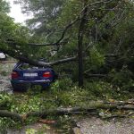 Un árbol caído sobre un coche como consecuencia de la borrasca. 