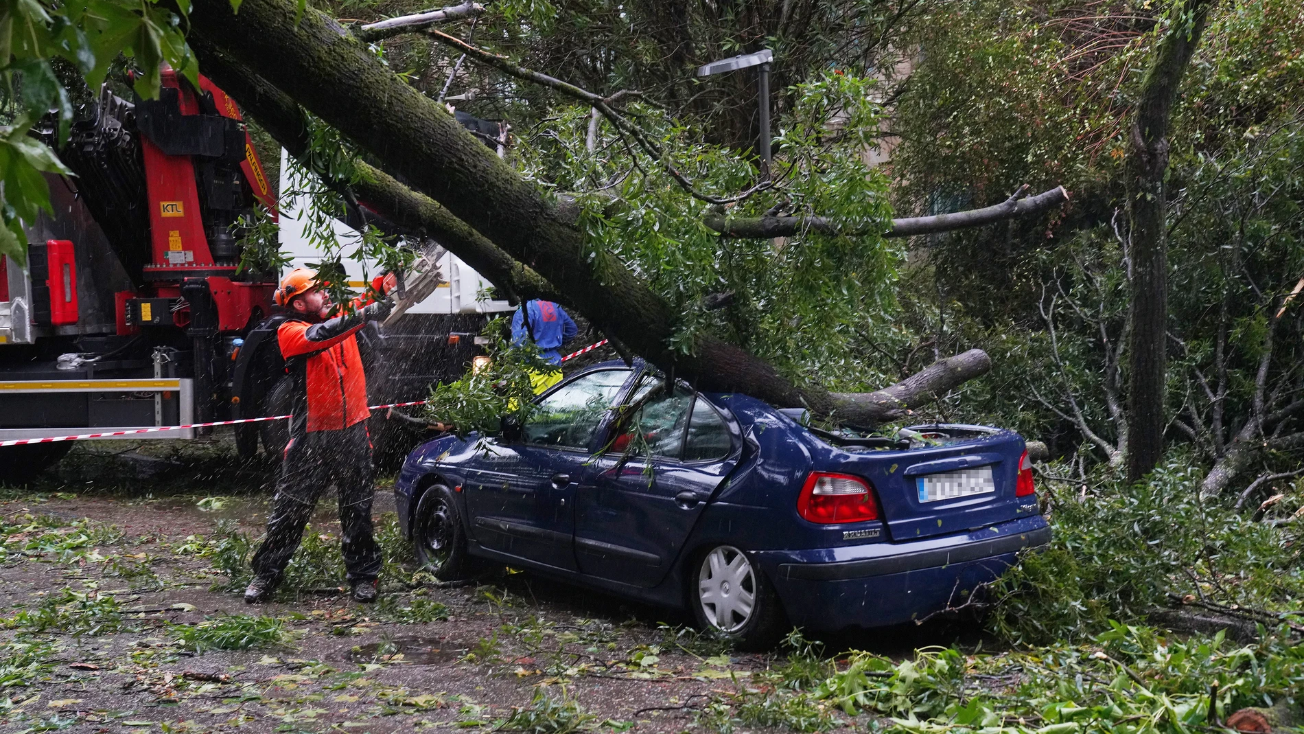 Varias personas trabajan en la recogida de un árbol caído sobre un coche en el campus universitario, a 9 de octubre de 2024, en Santiago de Compostela, A Coruña, Galicia (España). La Agencia Estatal de Meteorología (AEMET) ha puesto a Galicia en alerta naranja por la borrasca Kirk, que provoca rachas de viento de hasta 150 kilómetros por hora y precipitaciones acumuladas que han llegado hasta los casi 80 litros por metro cuadrado en algunas zonas. Las incidencias registradas son, en su mayor ...