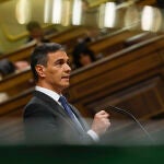 Pedro Sanchez appears in lower house of Parliament