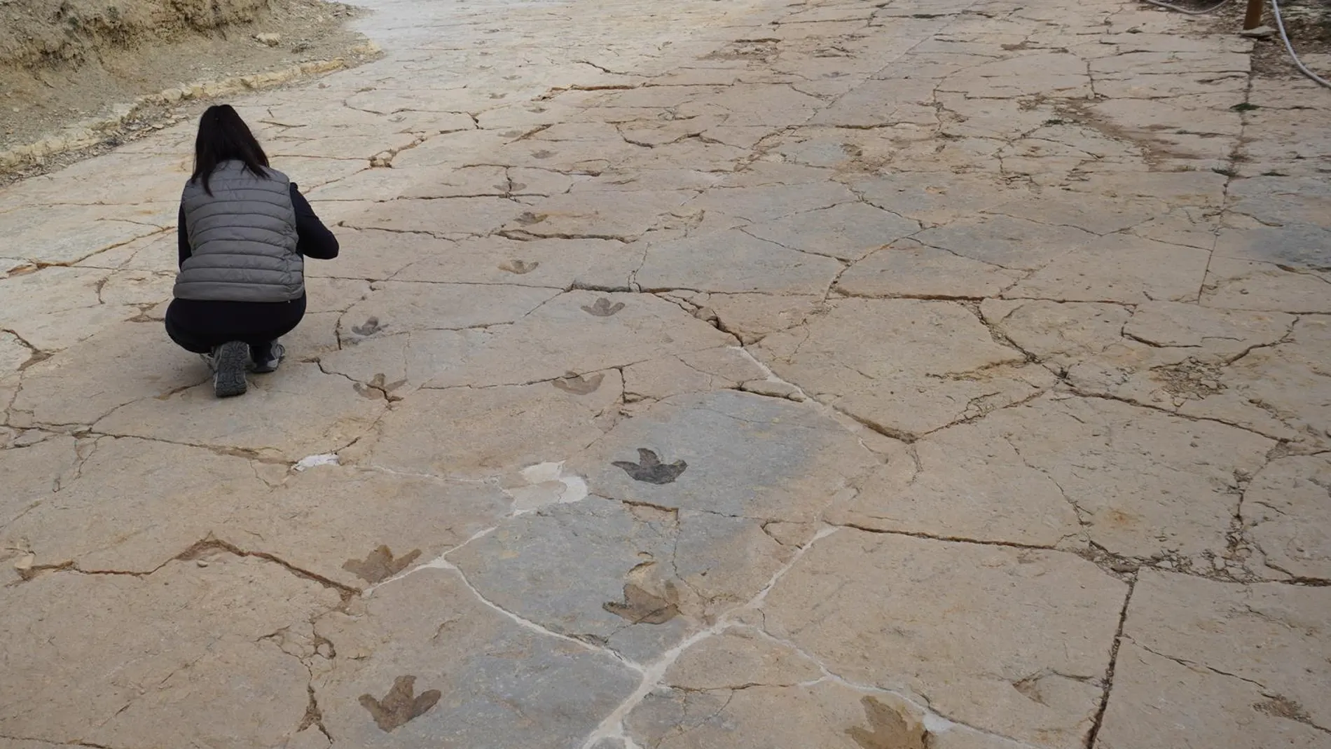 Hallan más de 50 huellas de dinosaurios carnívoros en un yacimiento de Aragón