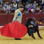 Feria Taurina del Pilar