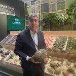 Antonio Alarcón, CEO de bollo fruit