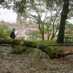Kirk provoca un temporal difícil de ver "de forma tan masiva en toda Galicia"