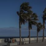 Fuertes rachas de viento en puntos de la Comunidad Valenciana que alcanzan los 116 km/hora en Buñol