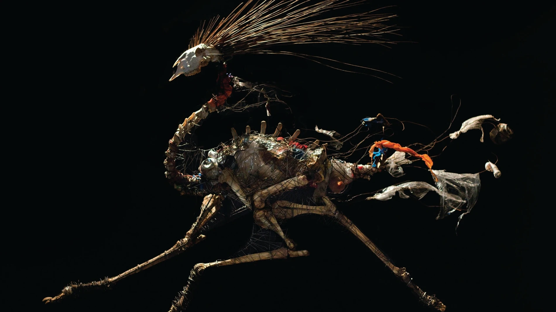 Exposición Especies Mensajeras