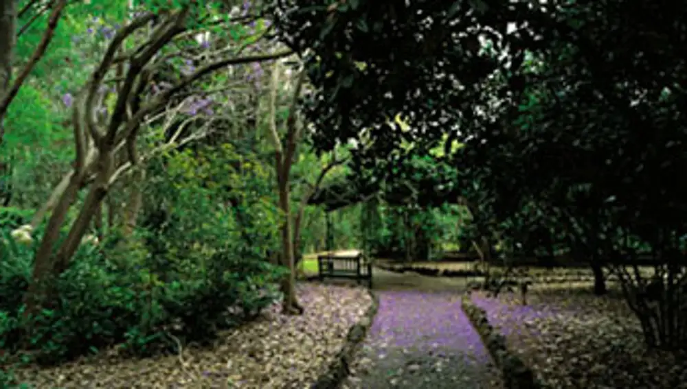 Jardín botánico