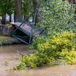 Un &aacute;rbol de grandes dimensiones cae por efecto del fuerte viento y hunde la pasarela sobre el Duero