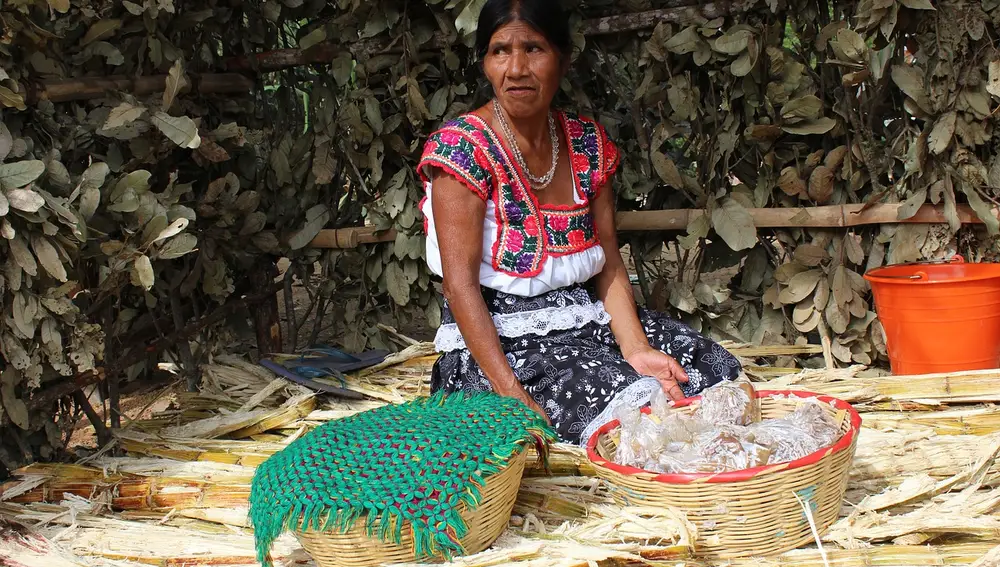 Una mujer de Latino América