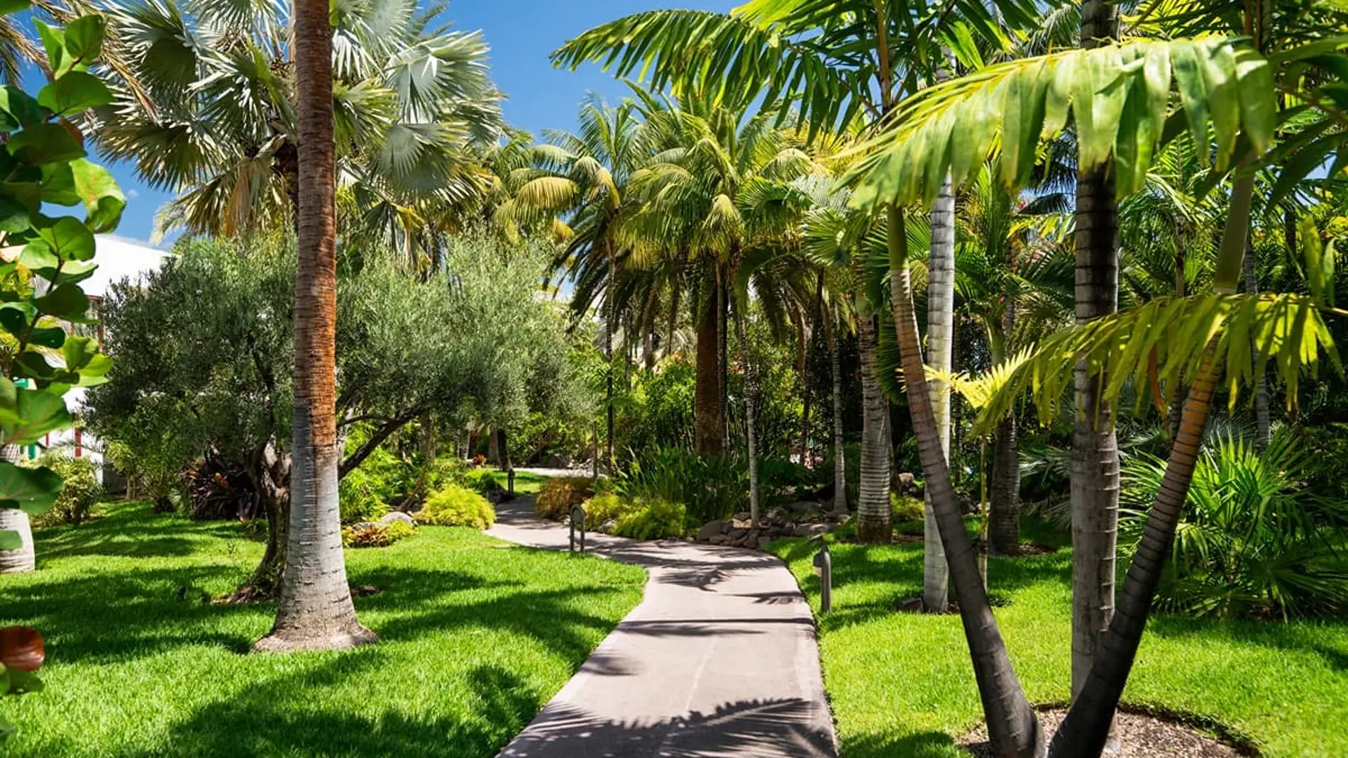 El verdor y frondosidad de este jardín interior invita a recorrerlo con tranquilidad