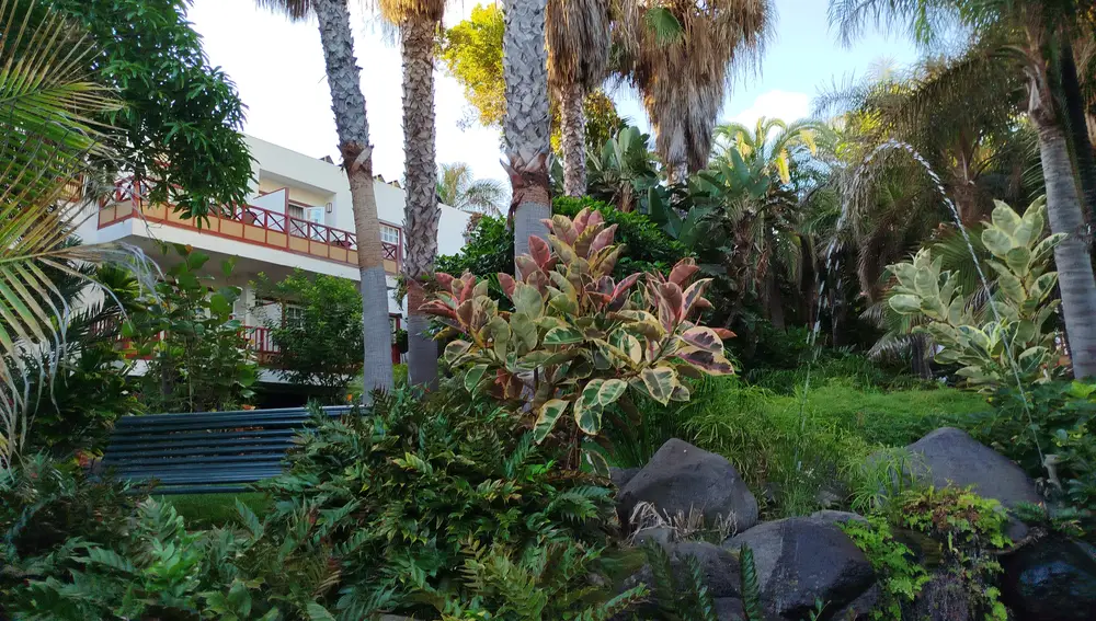 Entre tanta arboleda descubrimos idílicos espacios donde sentarse y descansar