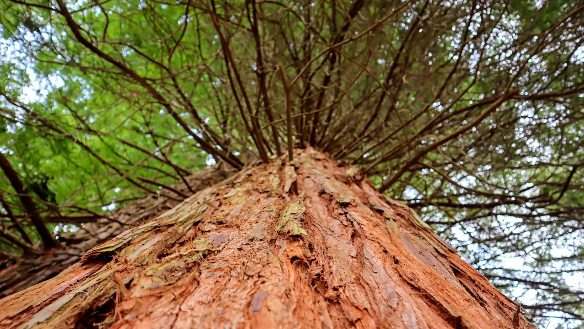 Cantabria blinda los acceso de turistas para no ser "la Ibiza del Norte"