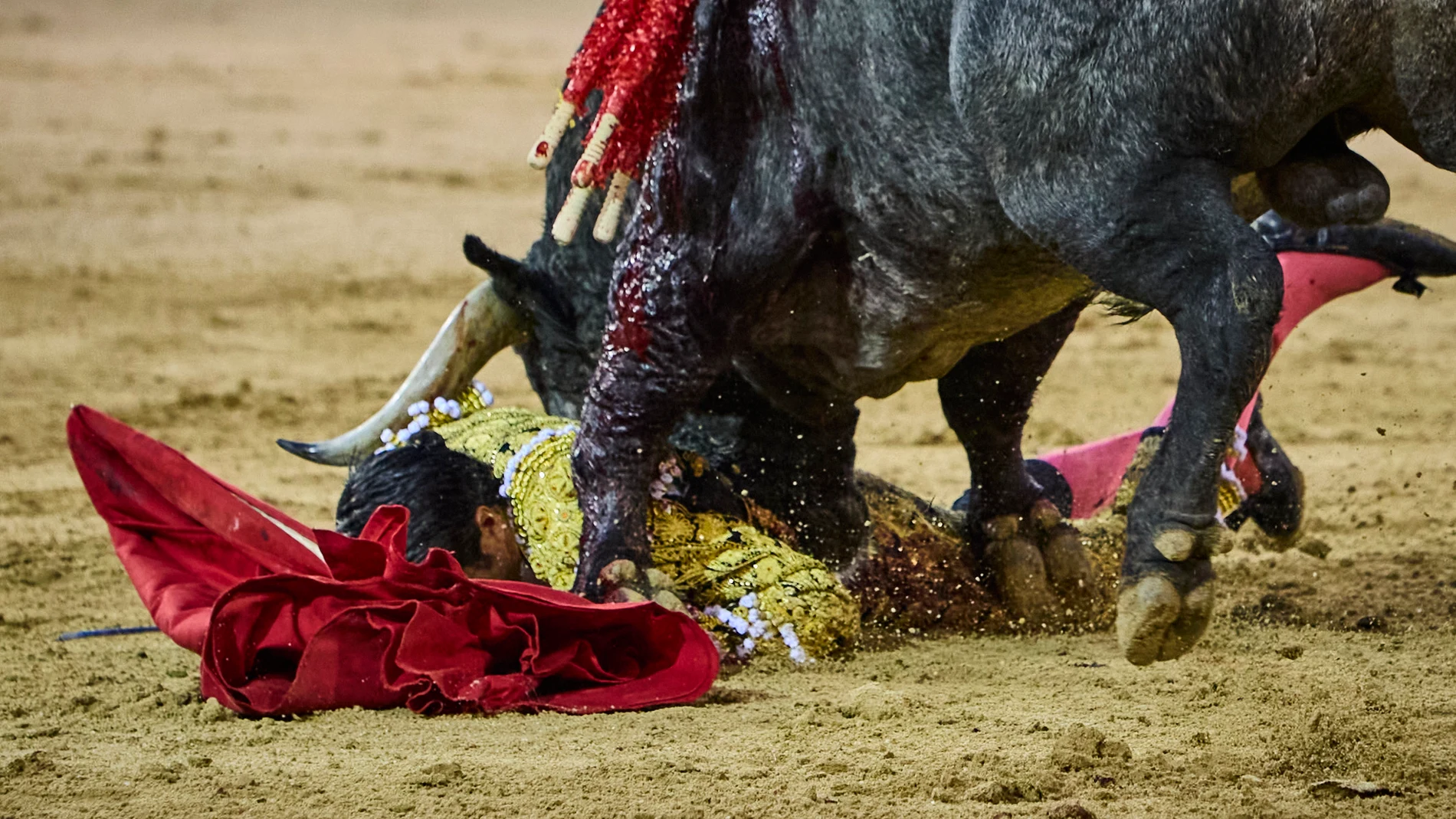 Toros en Las Ventas. Feria de otoño. Miguel Angel Perera y Emilio de Frutos© Alberto R. Roldán / La Razón. 12.10.2024