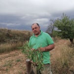 El emprendedor Jes&uacute;s L&oacute;pez Cacho comercializa ya este fruto seco de forma natural por la provincia de Soria
