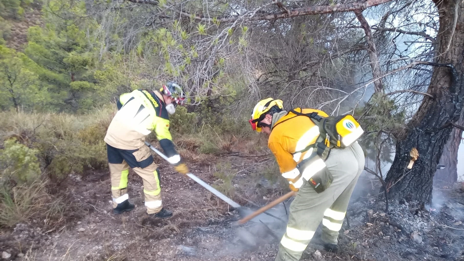 Los bomberos del CEIS trabajando en el incendio