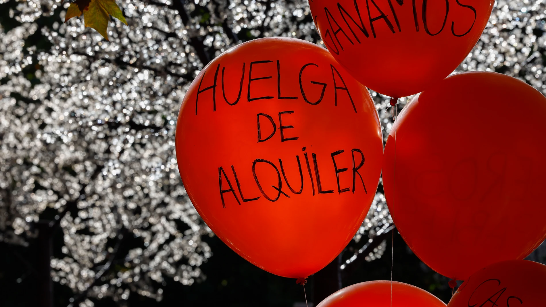MADRID, 13/10/2024.- El Sindicato de Inquilinas y casi 40 colectivos han convocado este domingo una manifestación en Madrid bajo el lema "Se acabó. Bajemos los alquileres" para forzar una rebaja de precios del 50 % mientras alientan una huelga de alquileres con la que buscan de forma coordinada no pagar las rentas.EFE/ Chema Moya