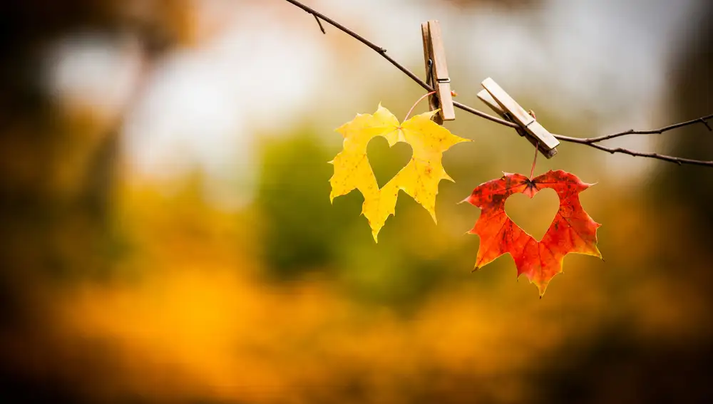 Viajes en Otoño