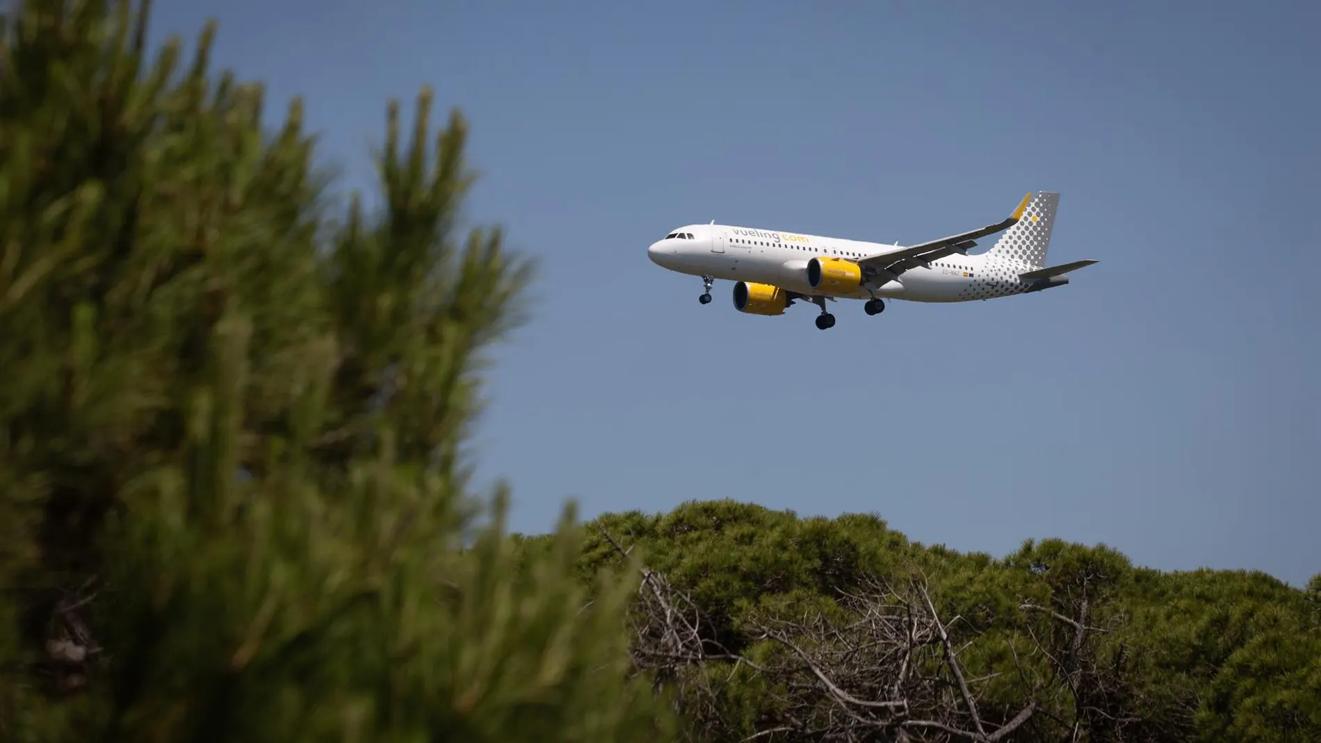 Economía/Empresas.- Vueling aumenta las frecuencias entre Barcelona y Burdeos (Francia) para 2025